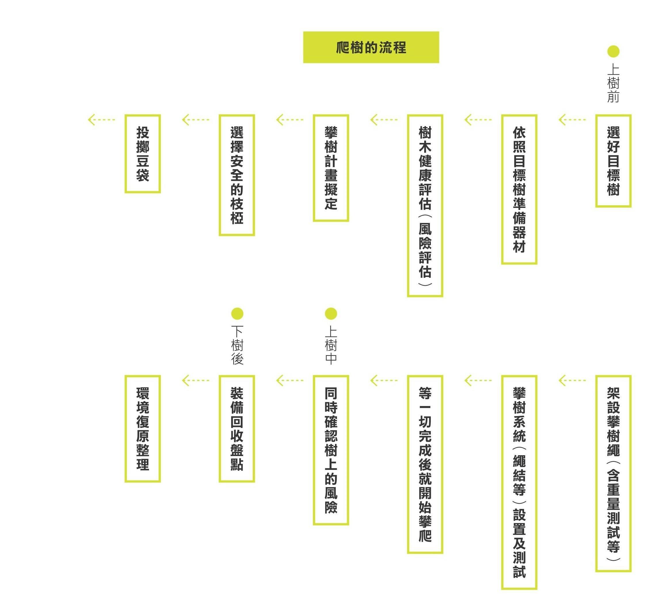 樹上看見的世界》：攀樹師告訴你為什麼要做「樹木風險評估」？ - TNL The News Lens 關鍵評論網