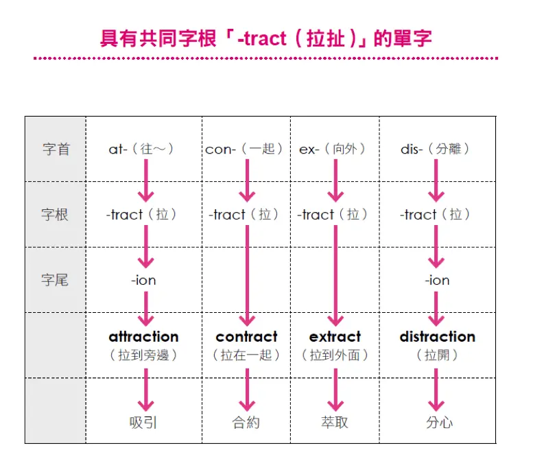 《英文單字語源圖鑑》:讓單字能力倍增的「語源學習法」 - TNL The News Lens 關鍵評論網