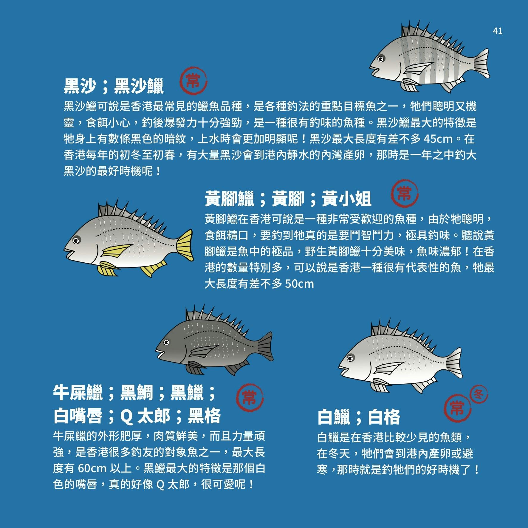 香港釣太郎》：常見魚類指南——烏頭常在岸邊「遊憩」、黃腳鱲「釣完又釣」⋯⋯ - TNL The News Lens 關鍵評論網