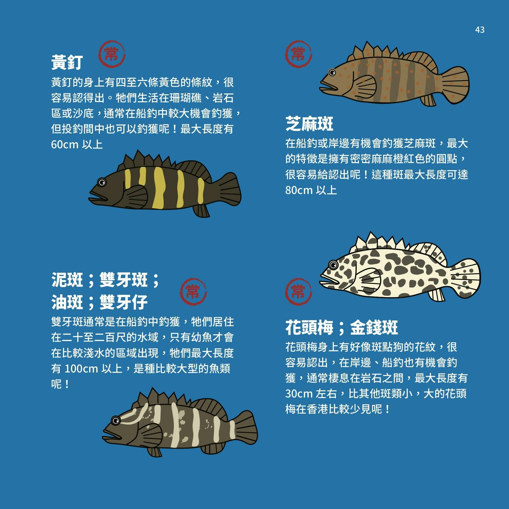 香港釣太郎》：常見魚類指南——烏頭常在岸邊「遊憩」、黃腳鱲「釣完又釣」⋯⋯ - TNL The News Lens 關鍵評論網