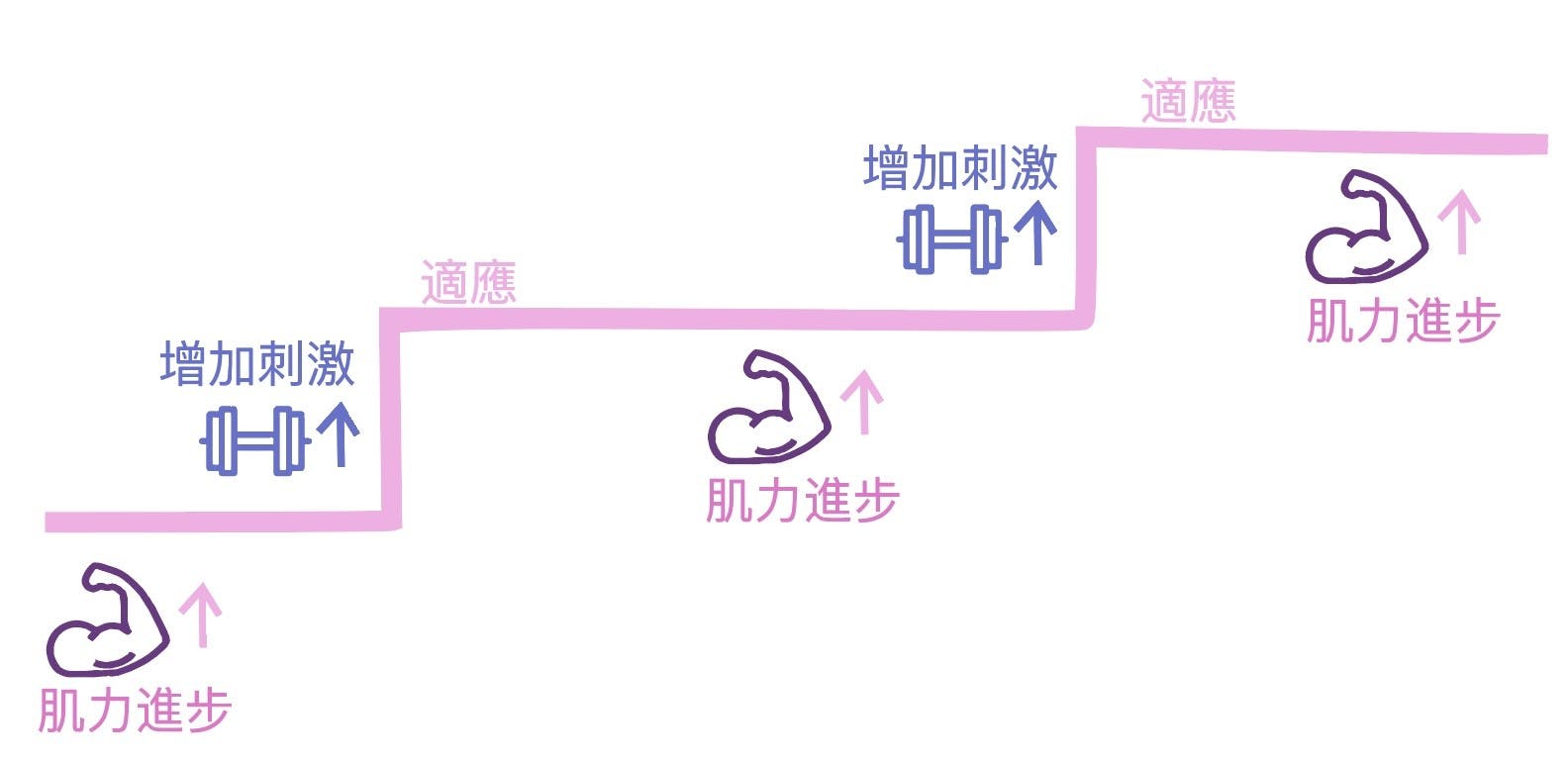 漸進式超負荷、PR、超級組⋯⋯這些常見的健身術語到底是什麼意思？ - TNL The News Lens 關鍵評論網