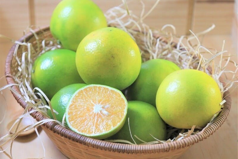 大「橘」大利一整年！一次看懂柑橘季必吃的24種橘橙柑桔品種 TNL The News Lens 關鍵評論網