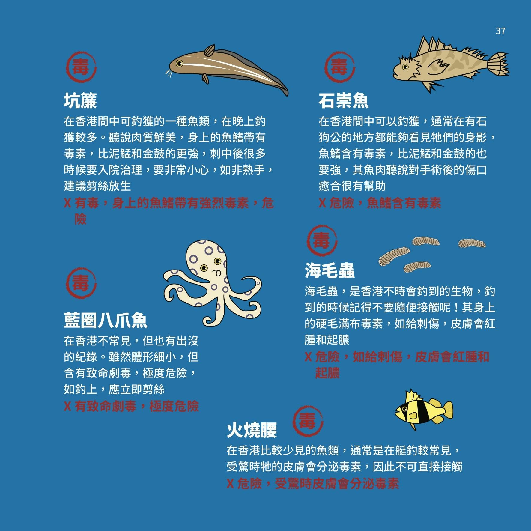 香港釣太郎》：有毒海洋生物指南——水母觸手可「炸傷」、獅子魚刺中可致命⋯⋯ - TNL The News Lens 關鍵評論網