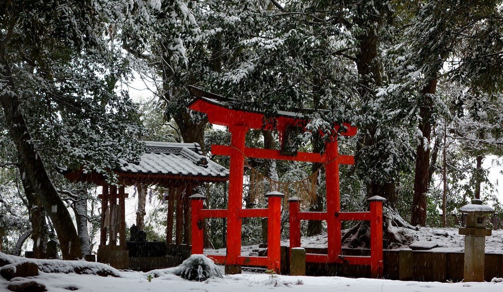 Torii in snow