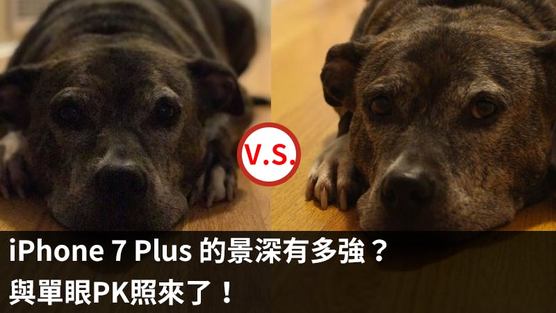 是iPhone 7 Plus景深PK來了！對象還是單眼這篇文章的首圖
