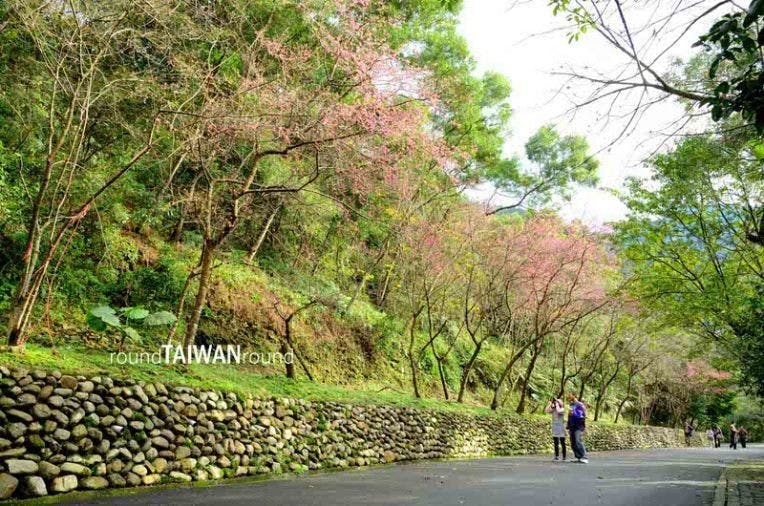 Rehshan Botanick Garden (仁山植物園)-006.JPG