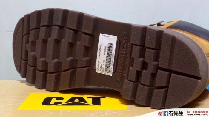 cat-shoe7