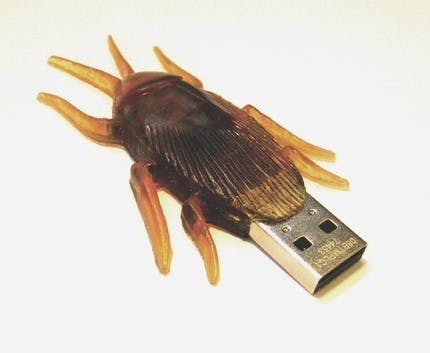 Cockroach USB Flash Drive