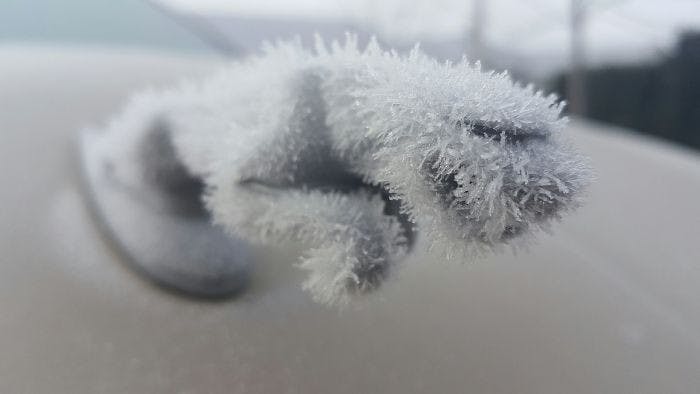 是只有在冬天才能看到渾然天成的「雪中藝術」這篇文章的首圖