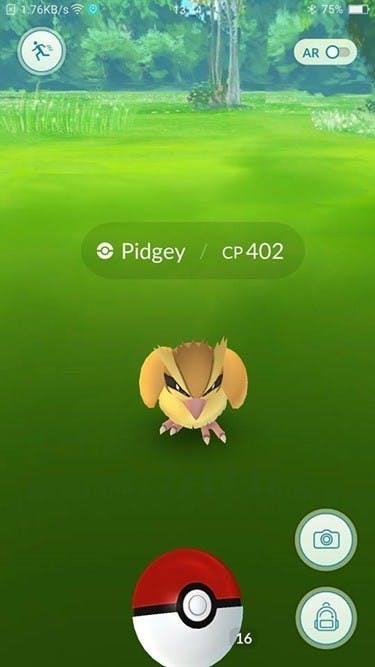 Pokemon go