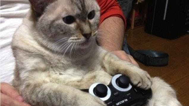 是貓語錄：「人界太無聊，只好整天打 Game...」這篇文章的首圖