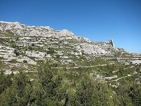 IMG_3681.JPG