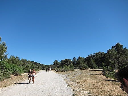 IMG_3646.JPG