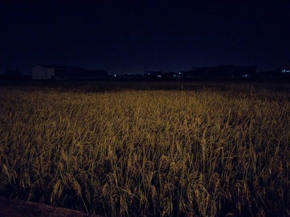image019