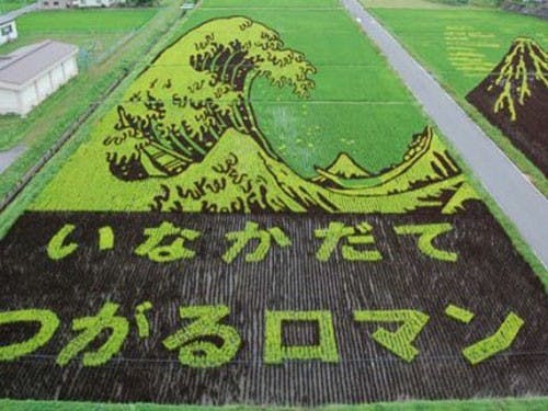 是日本稻田創意創作這篇文章的首圖