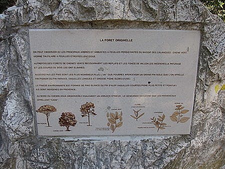 IMG_3658.JPG