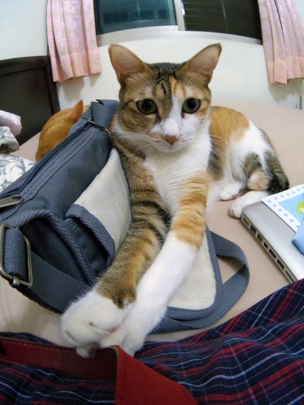 Pentax-Q-filter-and-len-test-04