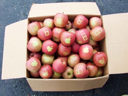 是蘋果與apple這篇文章的首圖