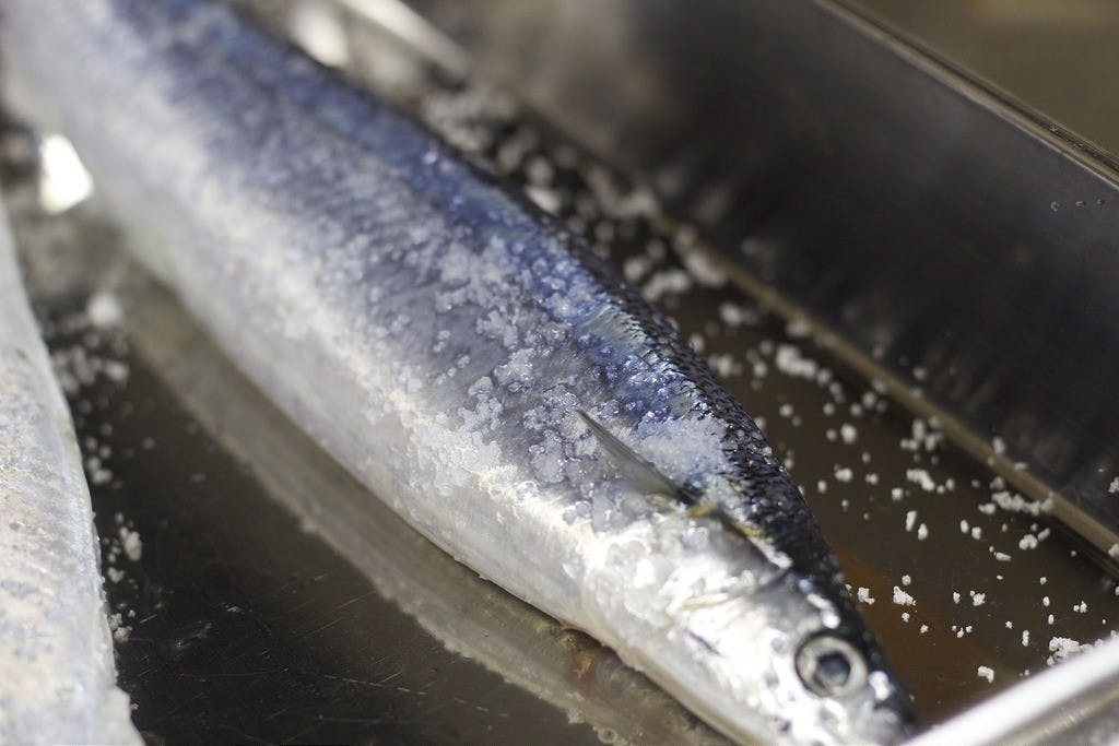 秋刀魚に塩