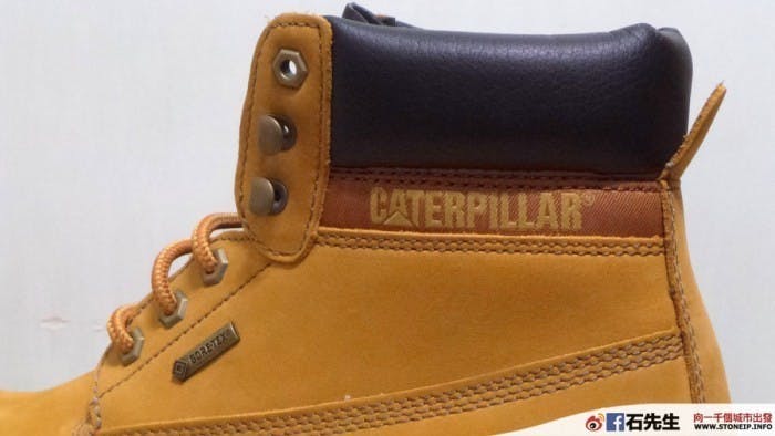 cat-shoe8