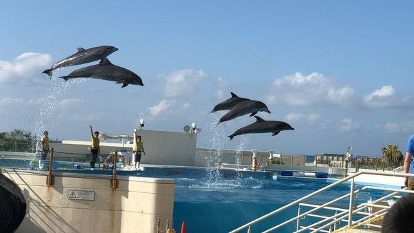 IMG_1876.JPG