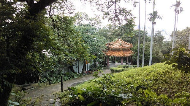 IMAG0025