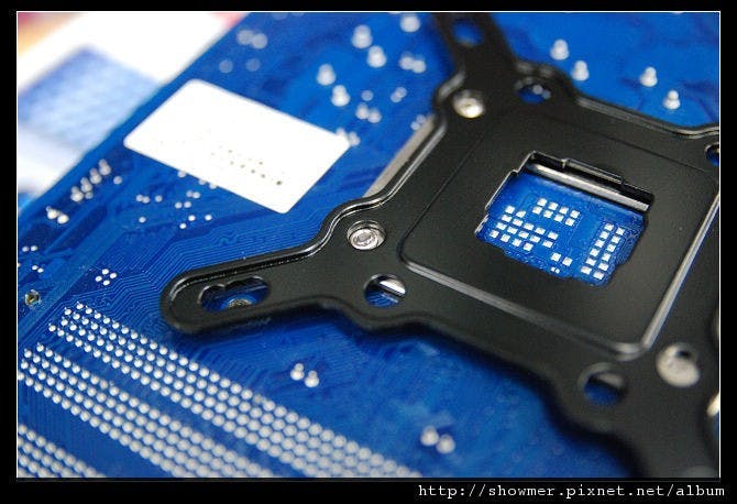 nEO_IMG_DSC_1737.jpg