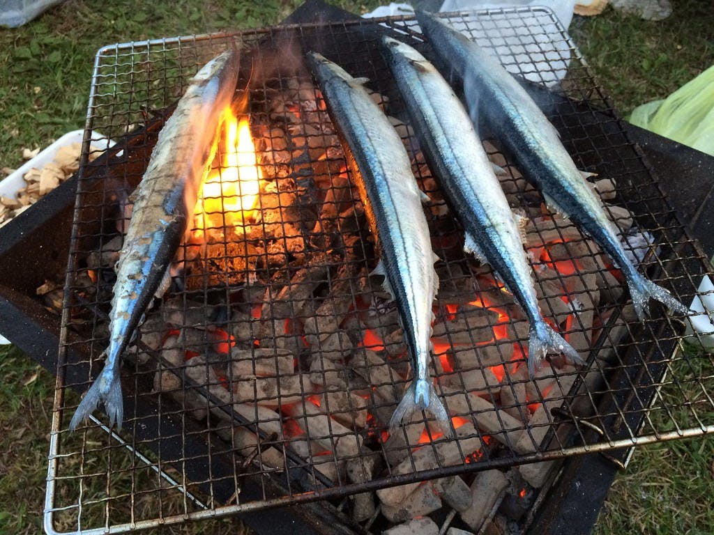 秋刀魚