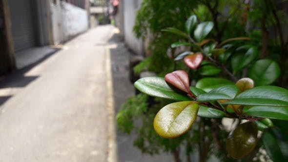 image012