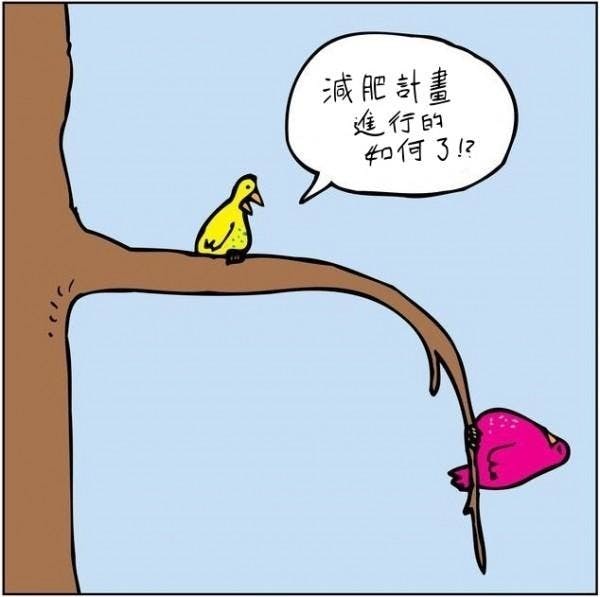 是算算看妳的減肥失敗率有多高？這篇文章的首圖