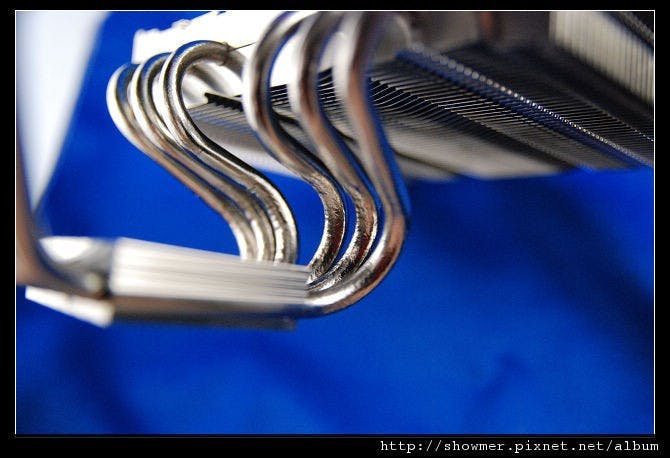 nEO_IMG_DSC_1721.jpg