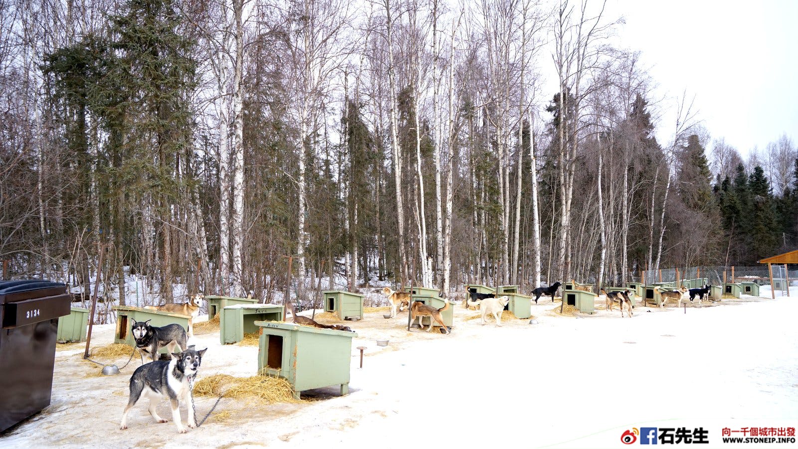 Delta_US_Alaska_Snow_Travel_18
