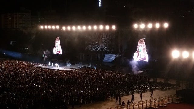 pic31.jpg