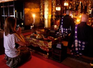 樂天旅遊旅客評論,燈火通明的西禪院就如同一幅畫,院內有許多外國遊客入住,讓人一改在寺廟住宿的印象。