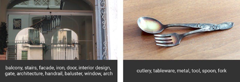 open-images_resize