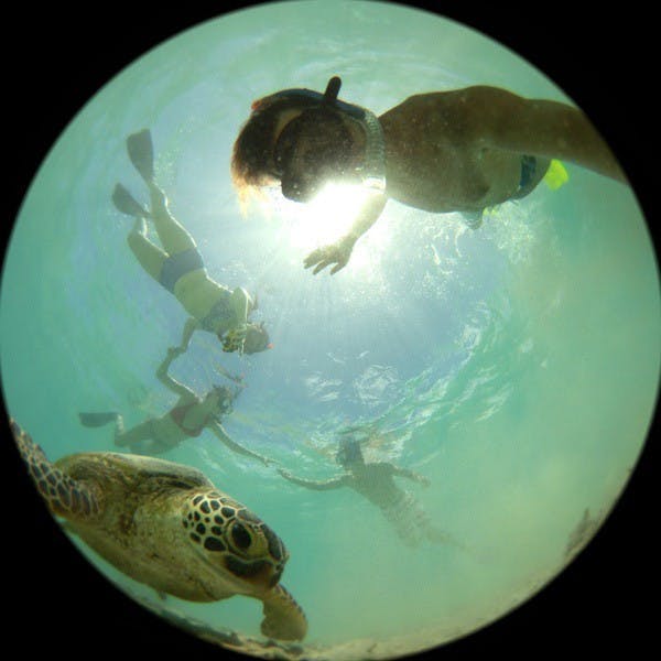img02_resize