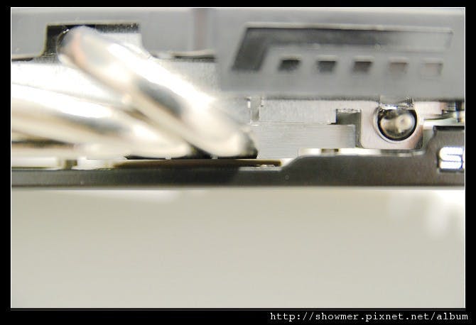 showmerDSC_7052
