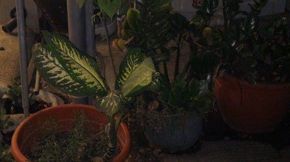 IMG_20150923_202710