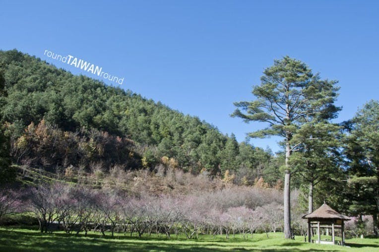 Wuling Farm (武陵農場)-010.jpg