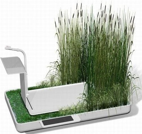phyto-purification-bathroom_03_HonrT_25013