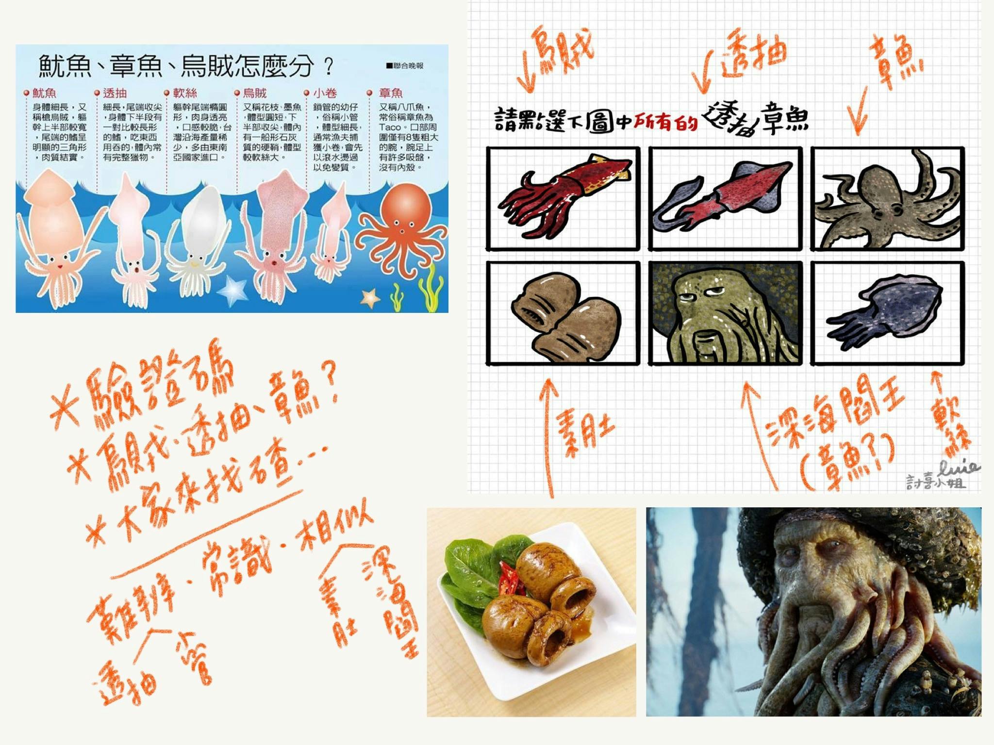 是【昨日新聞淺談插畫梗分享】：中國購票網站的驗證碼，除了驗證還能考常識⋯這篇文章的首圖