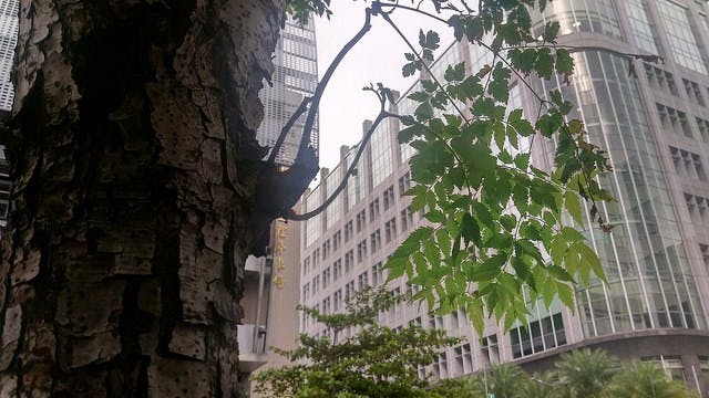 IMAG0043