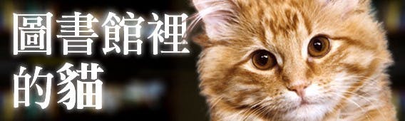 是圖書館裡的貓這篇文章的首圖
