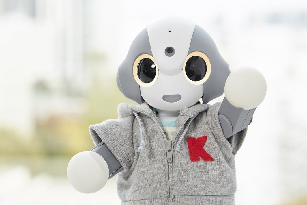 是Robi 家族又有新朋友 Kibiro ，志願是未來成為大家的居家小夥伴這篇文章的首圖