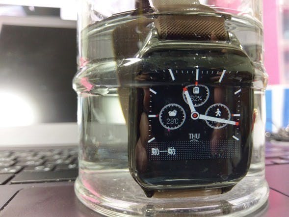 IMAG0317