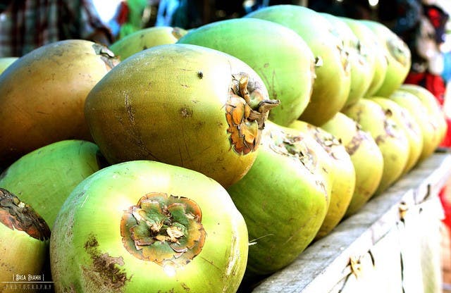 Coconut for Life