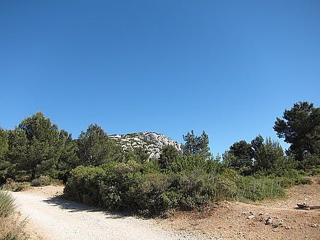 IMG_3669.JPG