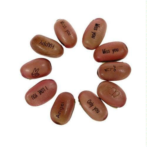 magic-beans-sprouts-with-secret-messages-2