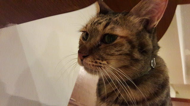 20150722_164625