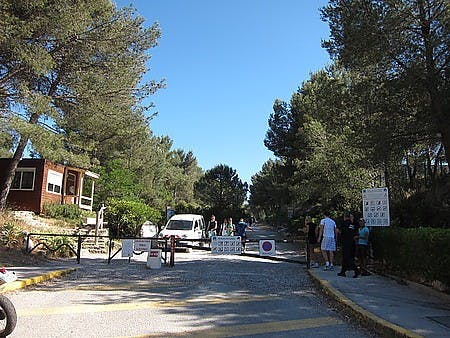 IMG_3639.JPG